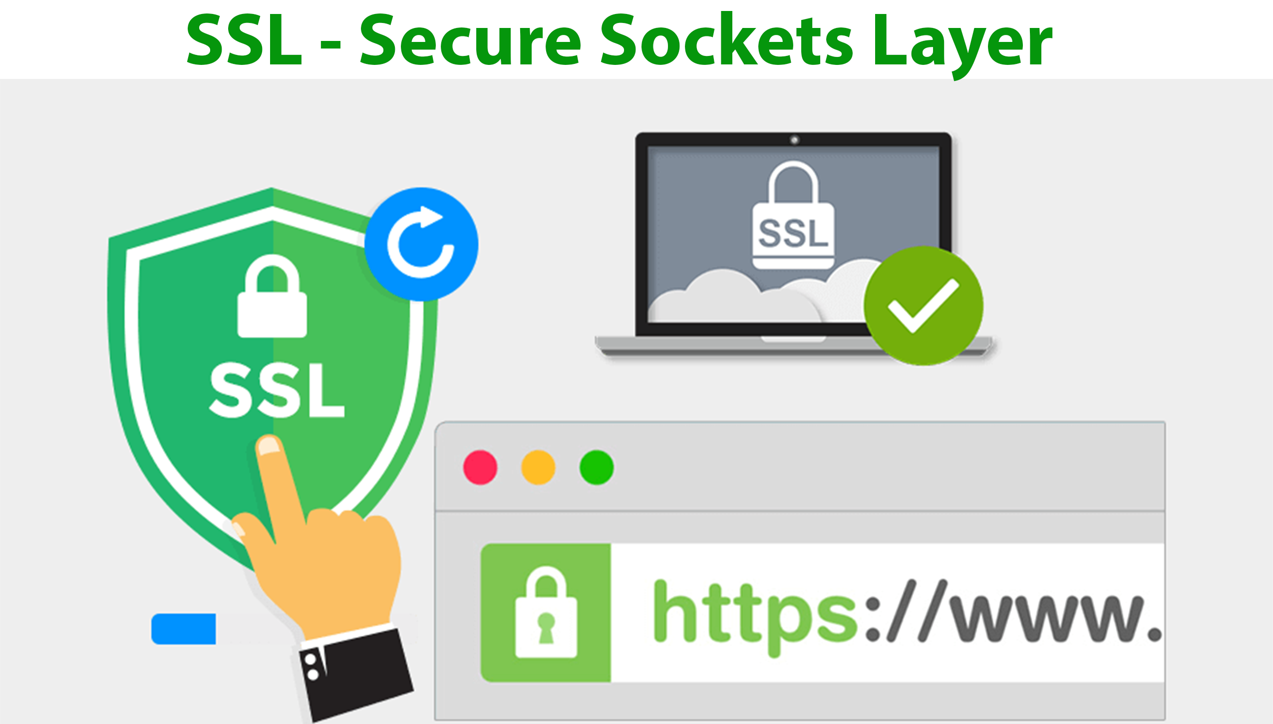 SSL là gì? Những loại Chứng chỉ số SSL/TLS thông dụng cho website