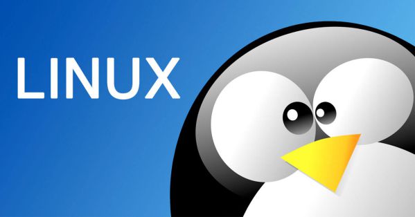 Ưu điểm Và Nhược điểm Khi Sử Dụng Hosting Linux